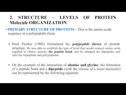 2. STRUCTURE – LEVELS OF PROTEIN Molecule ORGANIZATION PRIMARY STRUCTURE OF