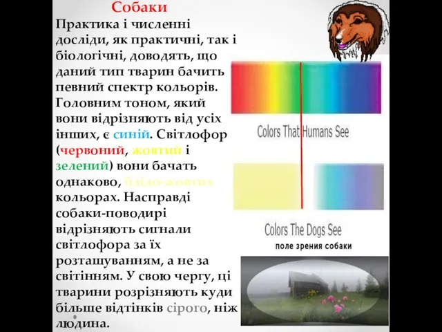 Собаки Практика і численні досліди, як практичні, так і біологічні, доводять,