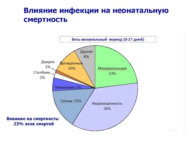 Влияние инфекции на неонатальную смертность