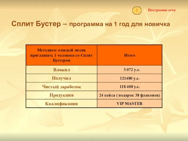 Построение сети 2 Сплит Бустер – программа на 1 год для новичка