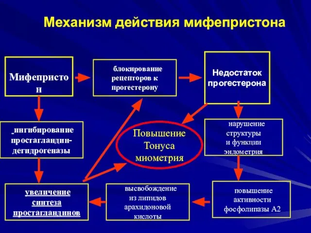 Механизм действия мифепристона Недостаток прогестерона нарушение структуры и функции эндометрия повышение