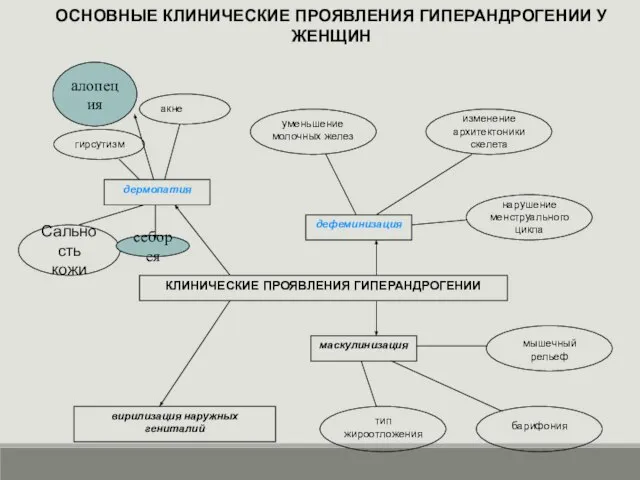 ОСНОВНЫЕ КЛИНИЧЕСКИЕ ПРОЯВЛЕНИЯ ГИПЕРАНДРОГЕНИИ У ЖЕНЩИН себорея алопеция