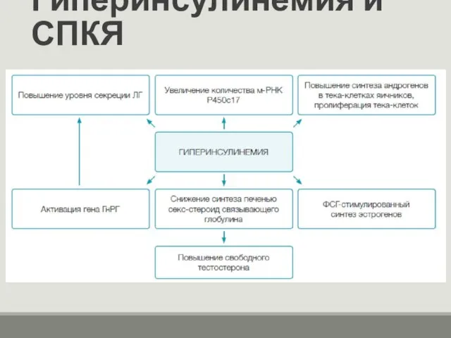 Гиперинсулинемия и СПКЯ