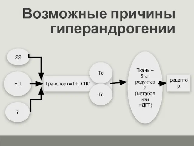 Возможные причины гиперандрогении ЯЯ НП Транспорт=Т+ГСПС рецептор ? То Тс Ткань – 5-а-редуктаза (метаболизм =ДГТ)