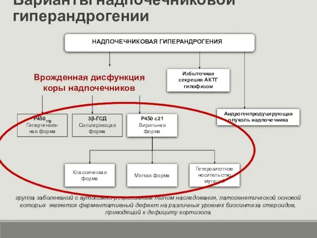 Варианты надпочечниковой гиперандрогении группа заболеваний с аутосомно-рецессивным типом наследования, патогенетической основой