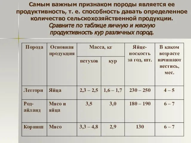 Самым важным признаком породы является ее продуктивность, т. е. способность давать