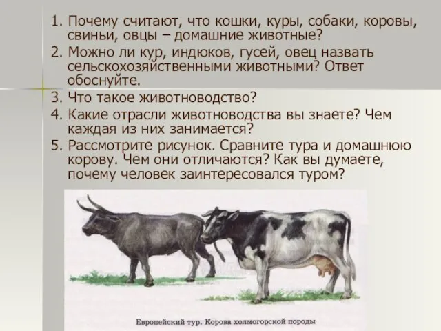 1. Почему считают, что кошки, куры, собаки, коровы, свиньи, овцы –