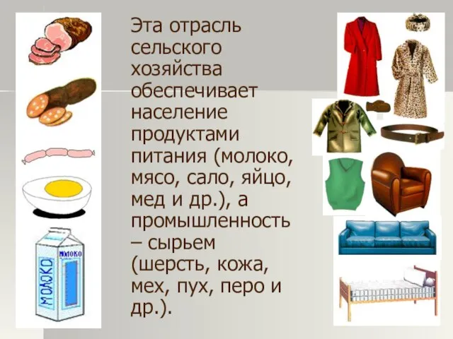 Эта отрасль сельского хозяйства обеспечивает население продуктами питания (молоко, мясо, сало,