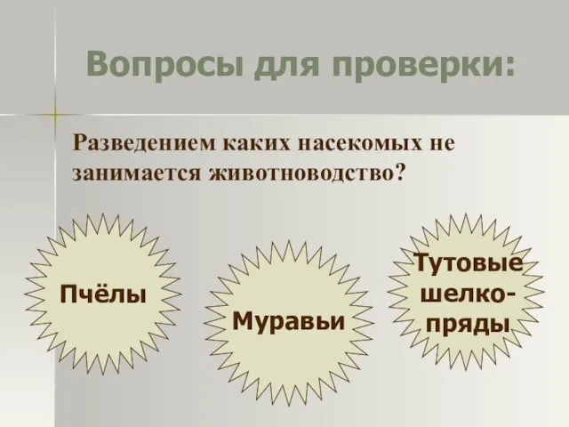 Вопросы для проверки: Разведением каких насекомых не занимается животноводство? Пчёлы Муравьи Тутовые шелко-пряды