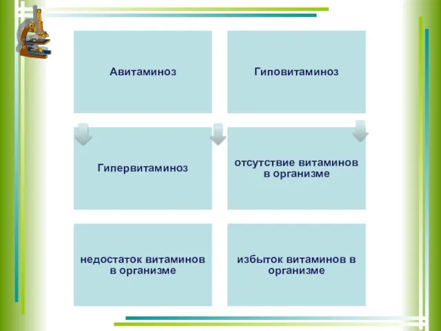 Авитаминоз Гиповитаминоз Гипервитаминоз отсутствие витаминов в организме недостаток витаминов в организме избыток витаминов в организме