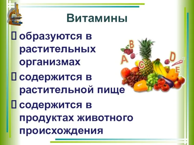 Витамины образуются в растительных организмах содержится в растительной пище содержится в продуктах животного происхождения