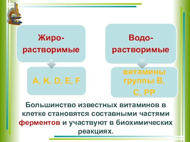 Большинство известных витаминов в клетке становятся составными частями ферментов и участвуют в биохимических реакциях.