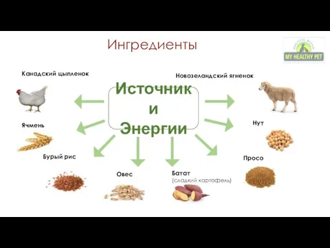 Новозеландский ягненок Канадский цыпленок Ячмень Бурый рис Овес Батат (сладкий картофель) Просо Нут Ингредиенты Источники Энергии