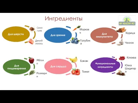 Яблоко Розмарин Томат Банан Голубика Корица Клюква Юкка Шидигера Чеснок Ингредиенты