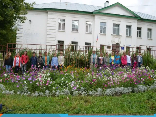 Конкурс проектов по озеленению цветника на пришкольном участке «Зеленый бум» Сроки