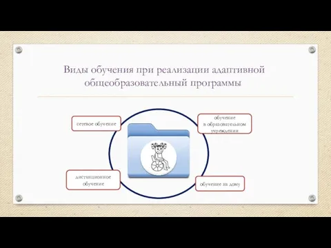 Виды обучения при реализации адаптивной общеобразовательный программы обучение в образовательном учреждении