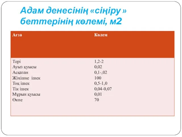 Адам денесінің «сіңіру » беттерінің көлемі, м2