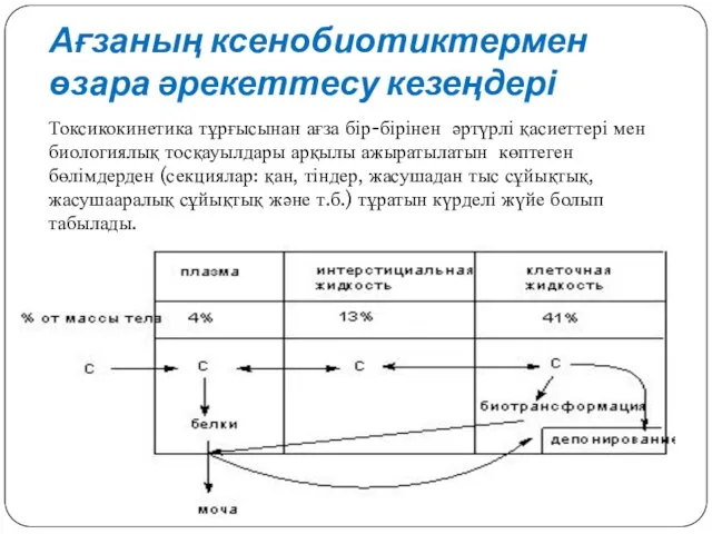 Ағзаның ксенобиотиктермен өзара әрекеттесу кезеңдері Токсикокинетика тұрғысынан ағза бір-бірінен әртүрлі қасиеттері