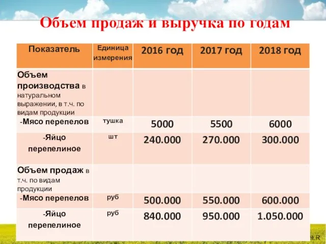 Объем продаж и выручка по годам