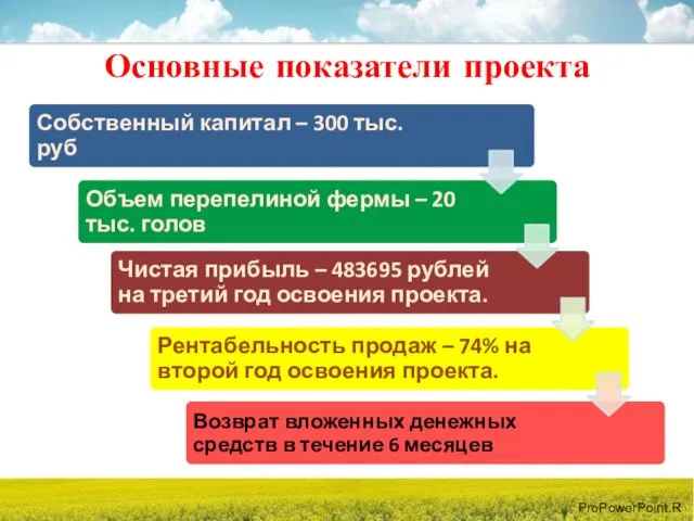 Основные показатели проекта