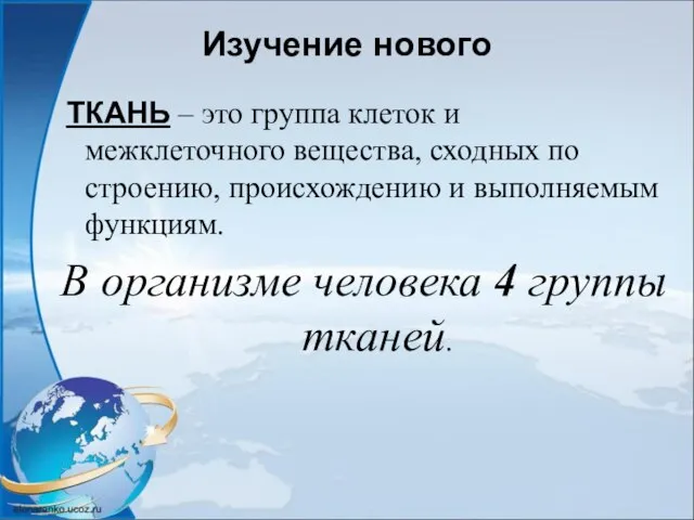 Изучение нового ТКАНЬ – это группа клеток и межклеточного вещества, сходных