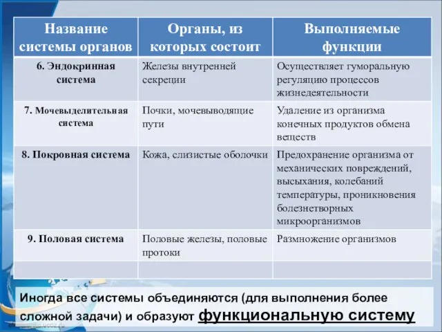 Иногда все системы объединяются (для выполнения более сложной задачи) и образуют функциональную систему