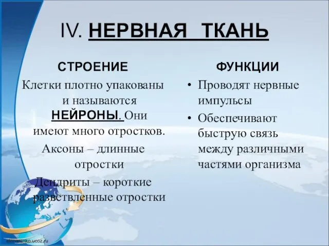 IV. НЕРВНАЯ ТКАНЬ СТРОЕНИЕ Клетки плотно упакованы и называются НЕЙРОНЫ. Они