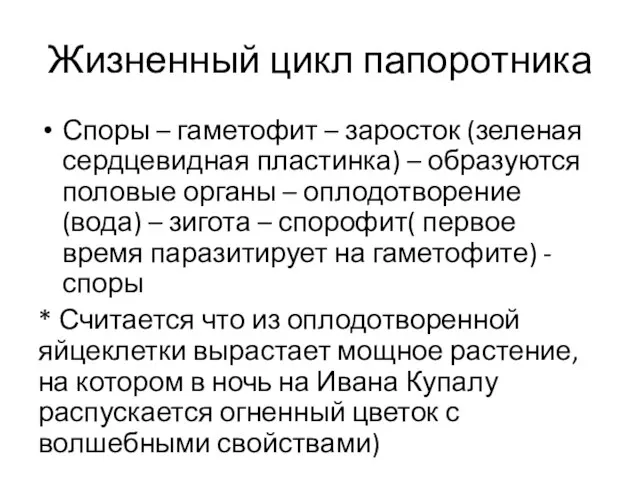 Жизненный цикл папоротника Споры – гаметофит – заросток (зеленая сердцевидная пластинка)