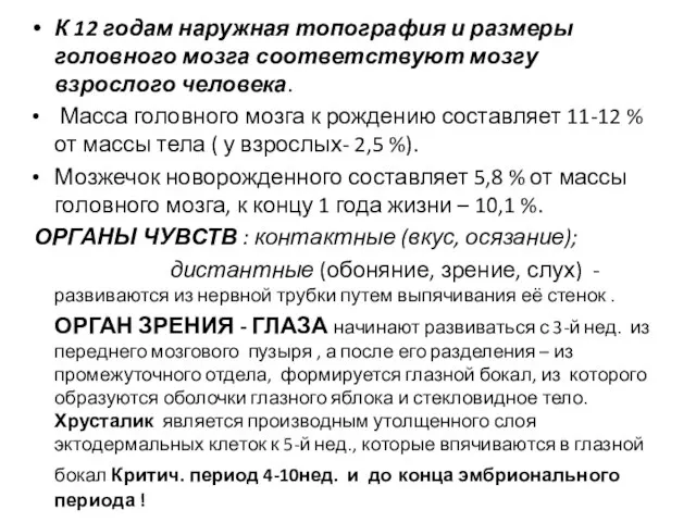 К 12 годам наружная топография и размеры головного мозга соответствуют мозгу