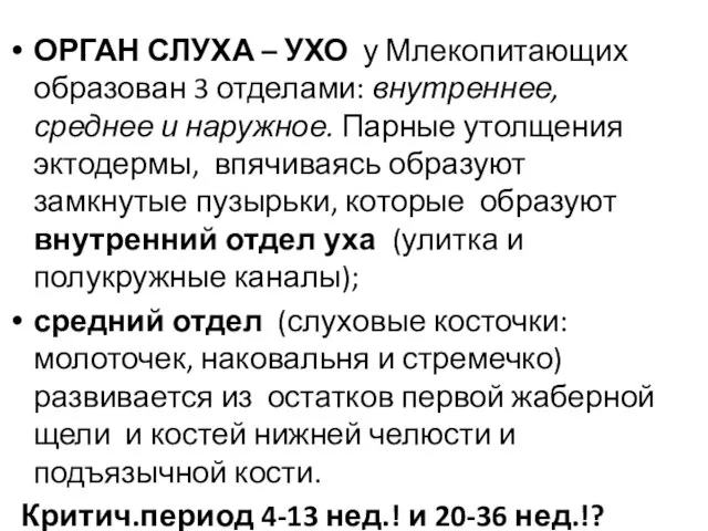 ОРГАН СЛУХА – УХО у Млекопитающих образован 3 отделами: внутреннее, среднее