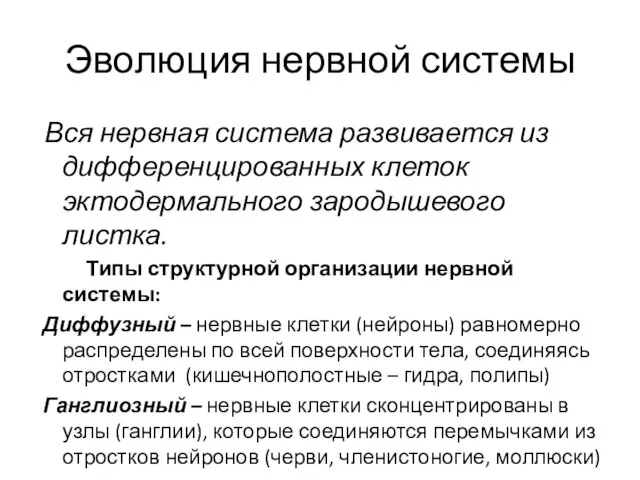 Вся нервная система развивается из дифференцированных клеток эктодермального зародышевого листка. Типы