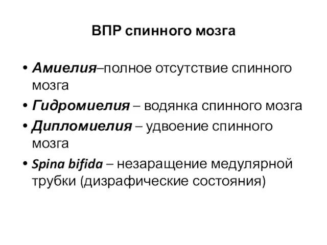 ВПР спинного мозга Амиелия–полное отсутствие спинного мозга Гидромиелия – водянка спинного