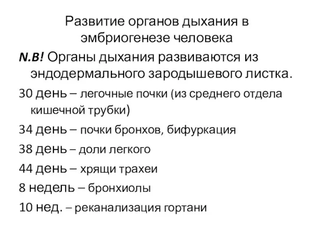 Развитие органов дыхания в эмбриогенезе человека N.B! Органы дыхания развиваются из