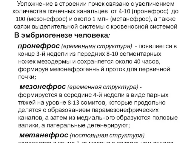 Усложнение в строении почек связано с увеличением количества почечных канальцев от