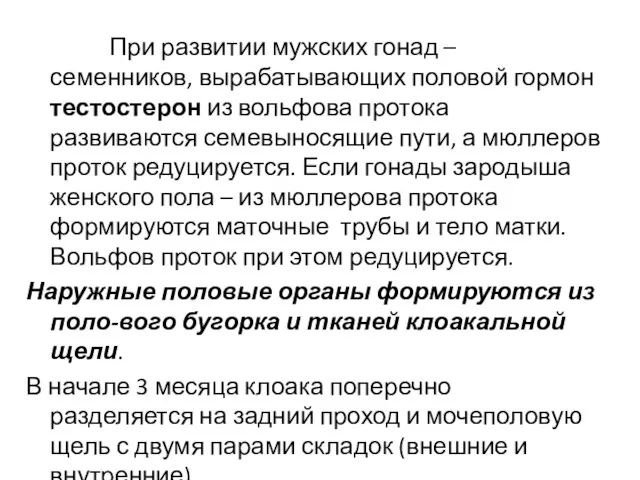 При развитии мужских гонад – семенников, вырабатывающих половой гормон тестостерон из