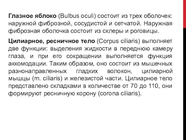 Глазное яблоко (Bulbus oculi) состоит из трех оболочек: наружной фиброзной, сосудистой