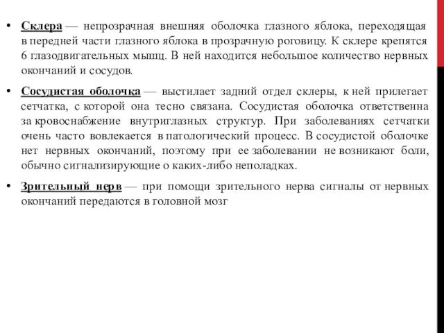 Склера — непрозрачная внешняя оболочка глазного яблока, переходящая в передней части