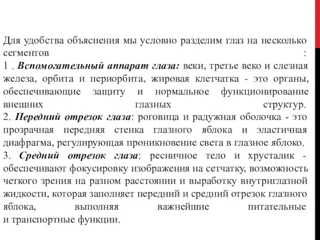 Для удобства объяснения мы условно разделим глаз на несколько сегментов :