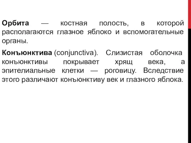 Орбита — костная полость, в которой располагаются глазное яблоко и вспомогательные