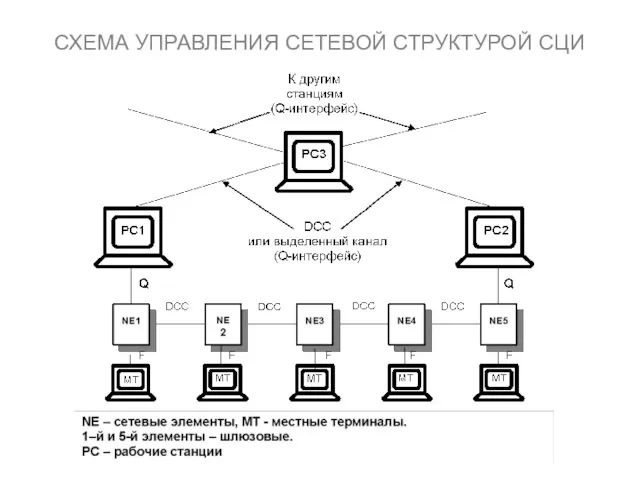 СХЕМА УПРАВЛЕНИЯ СЕТЕВОЙ СТРУКТУРОЙ СЦИ