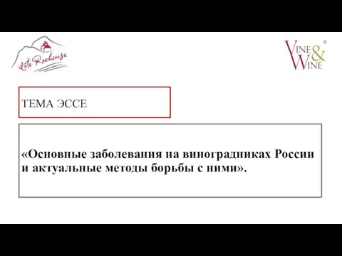 ТЕМА ЭССЕ «Основные заболевания на виноградниках России и актуальные методы борьбы с ними».