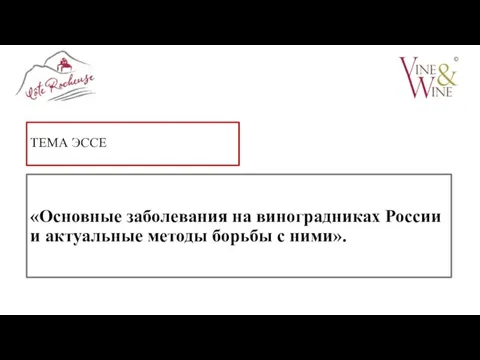 ТЕМА ЭССЕ «Основные заболевания на виноградниках России и актуальные методы борьбы с ними».