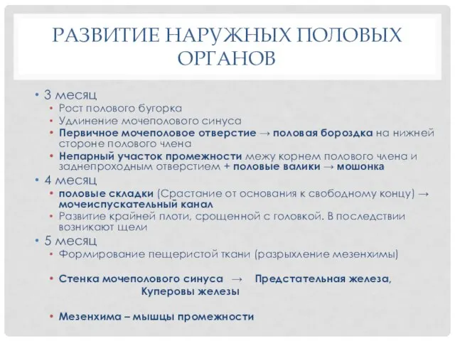 РАЗВИТИЕ НАРУЖНЫХ ПОЛОВЫХ ОРГАНОВ 3 месяц Рост полового бугорка Удлинение мочеполового