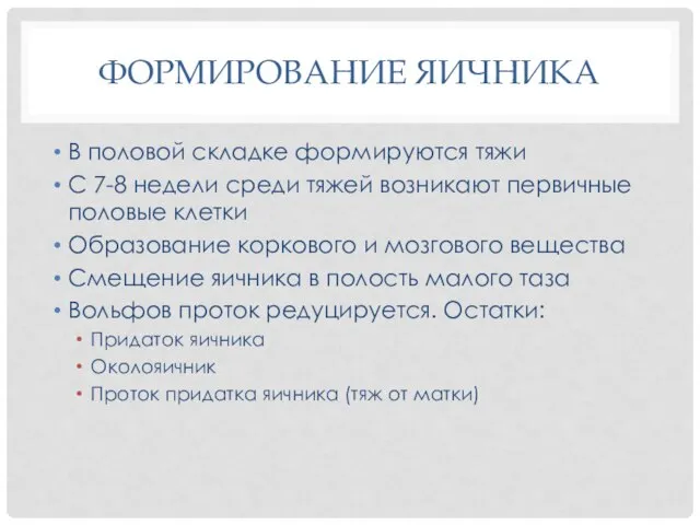 ФОРМИРОВАНИЕ ЯИЧНИКА В половой складке формируются тяжи С 7-8 недели среди