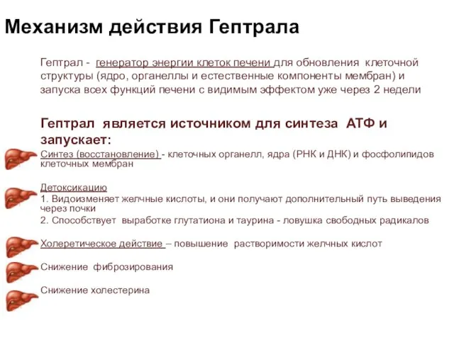 Механизм действия Гептрала Гептрал - генератор энергии клеток печени для обновления