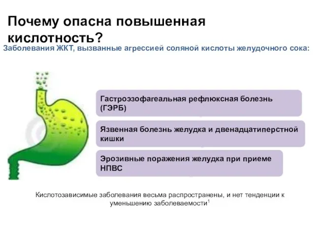 Почему опасна повышенная кислотность? Заболевания ЖКТ, вызванные агрессией соляной кислоты желудочного