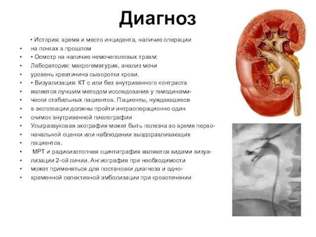 Диагноз • История: время и место инцидента, наличие операции на почках