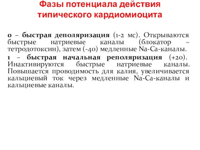 Фазы потенциала действия типического кардиомиоцита 0 – быстрая деполяризация (1-2 мс).