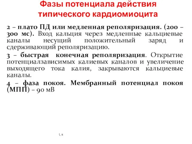 Фазы потенциала действия типического кардиомиоцита 2 – плато ПД или медленная