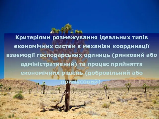 Критеріями розмежування ідеальних типів економічних систем є механізм координації взаємодії господарських